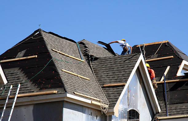 Best Local Roofing Companies  in Springville, NY